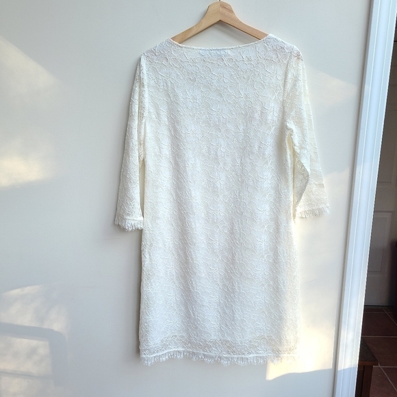 Cream Lace Shift Dress ~ NWT - Picture 10 of 10